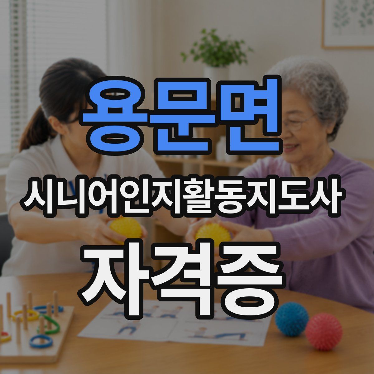 용문면 시니어인지활동지도사 자격증