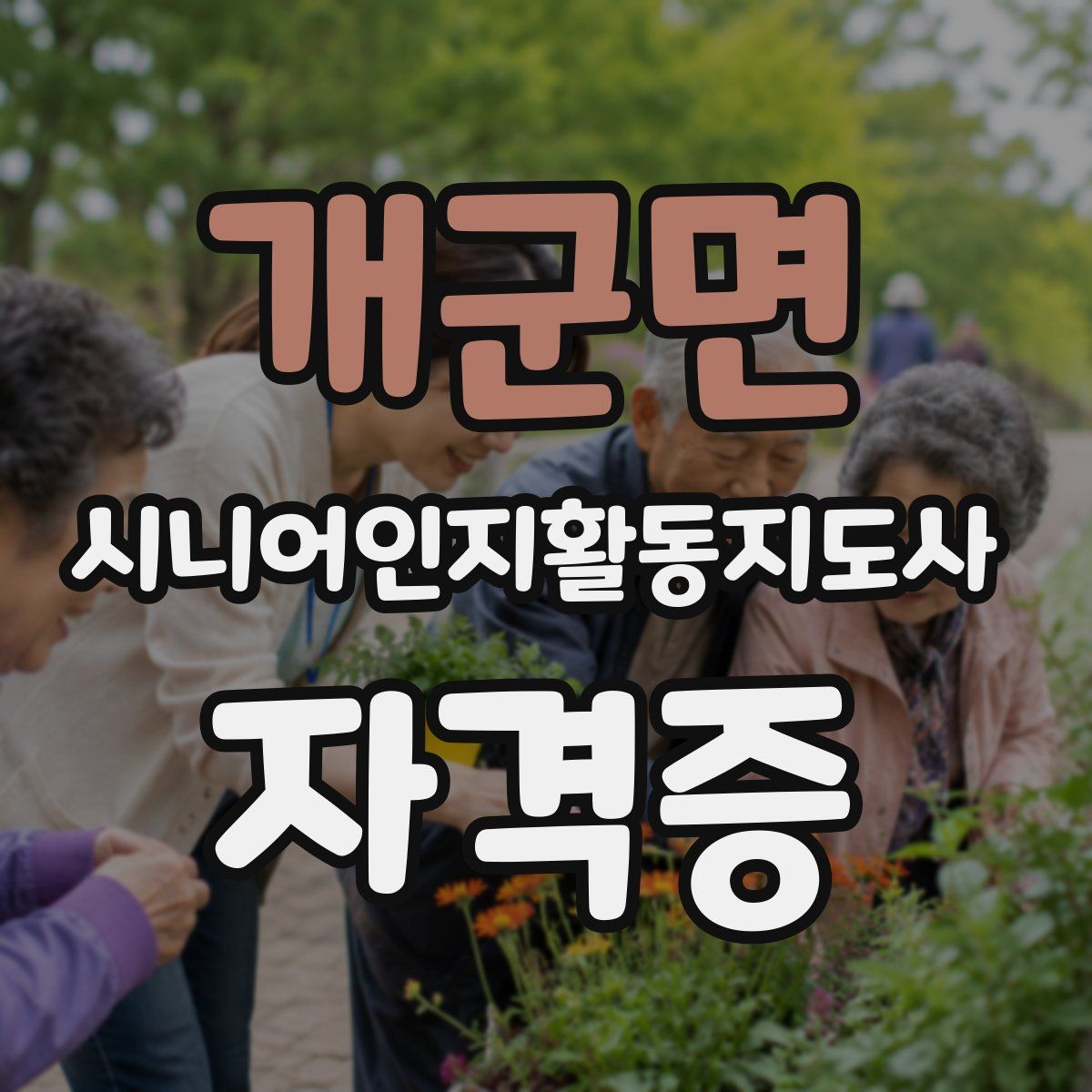 개군면 시니어인지활동지도사 자격증