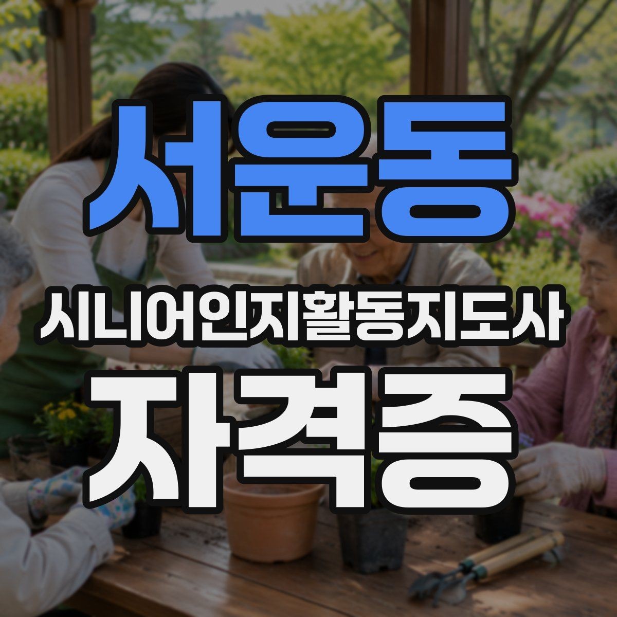 서운동 시니어인지활동지도사 자격증 공부 순서와 핵심 과목