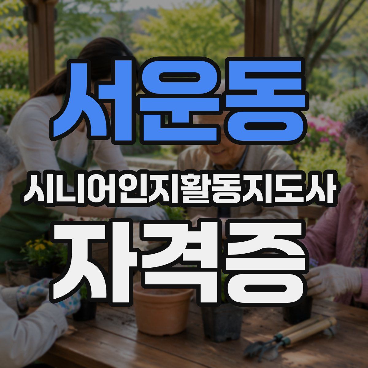 서운동 시니어인지활동지도사 자격증