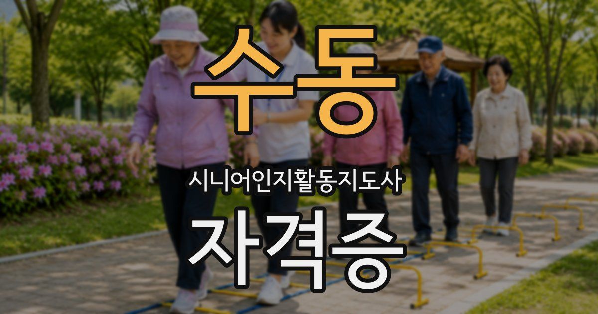 수동 시니어인지활동지도사 자격증