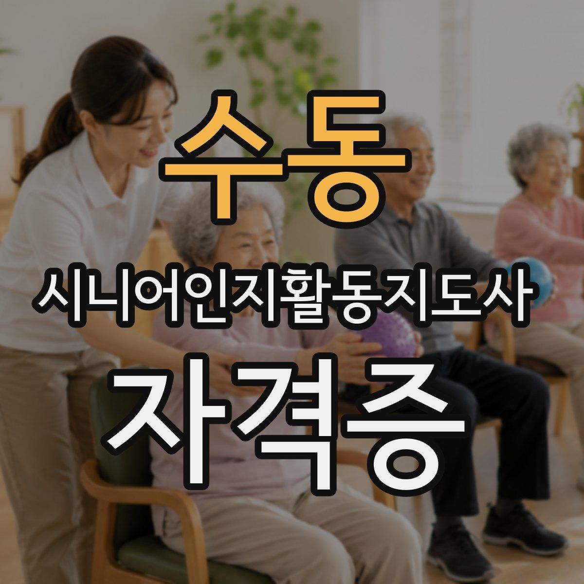 수동 시니어인지활동지도사 자격증