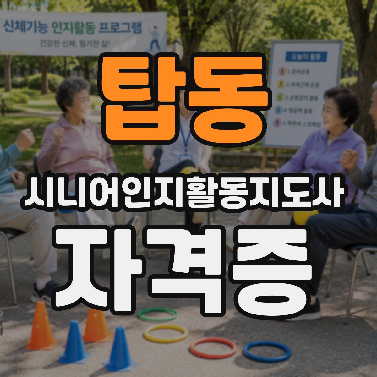 탑동 시니어인지활동지도사 자격증