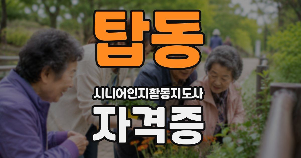 탑동 시니어인지활동지도사 자격증