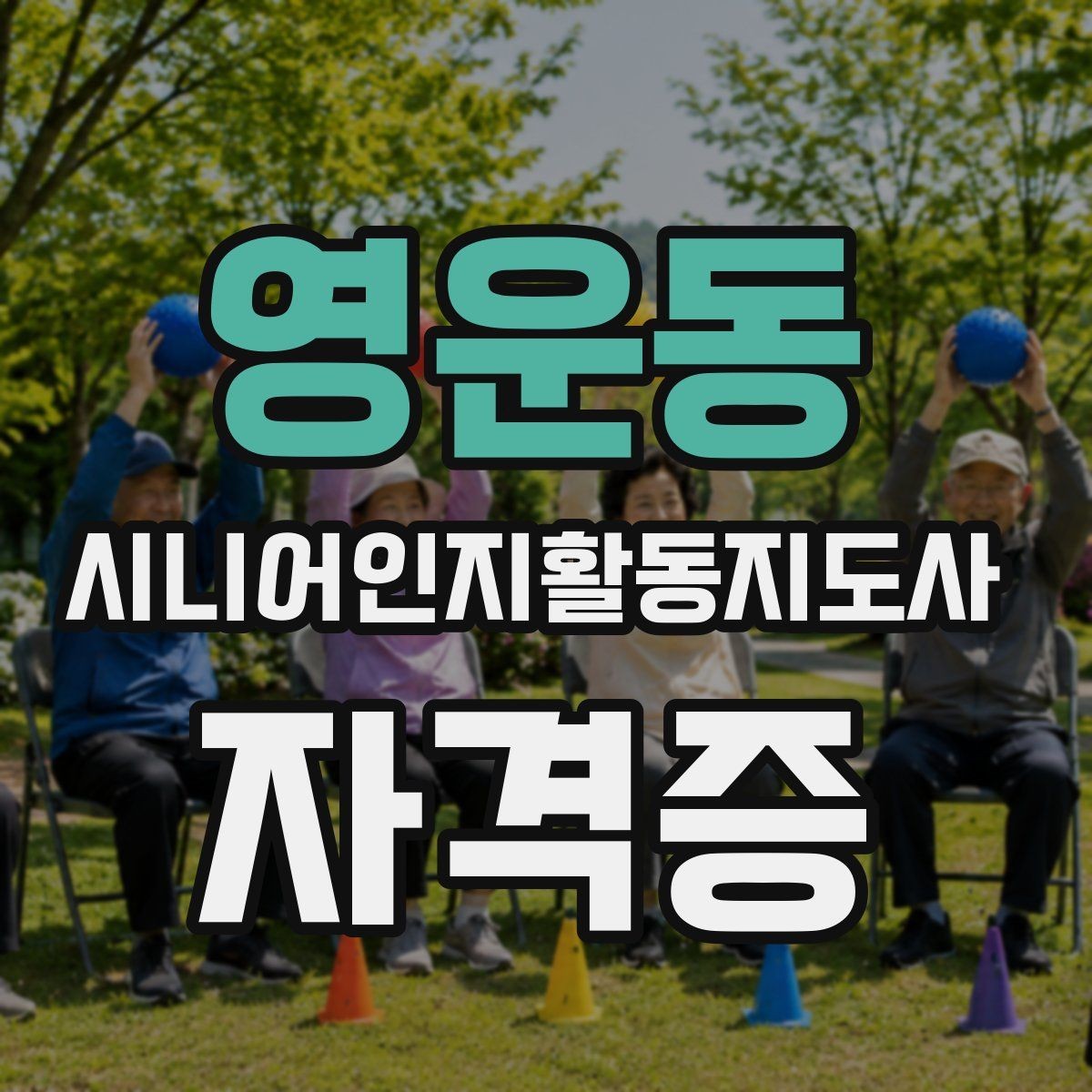 영운동 시니어인지활동지도사 자격증 온라인 과정의 장단점