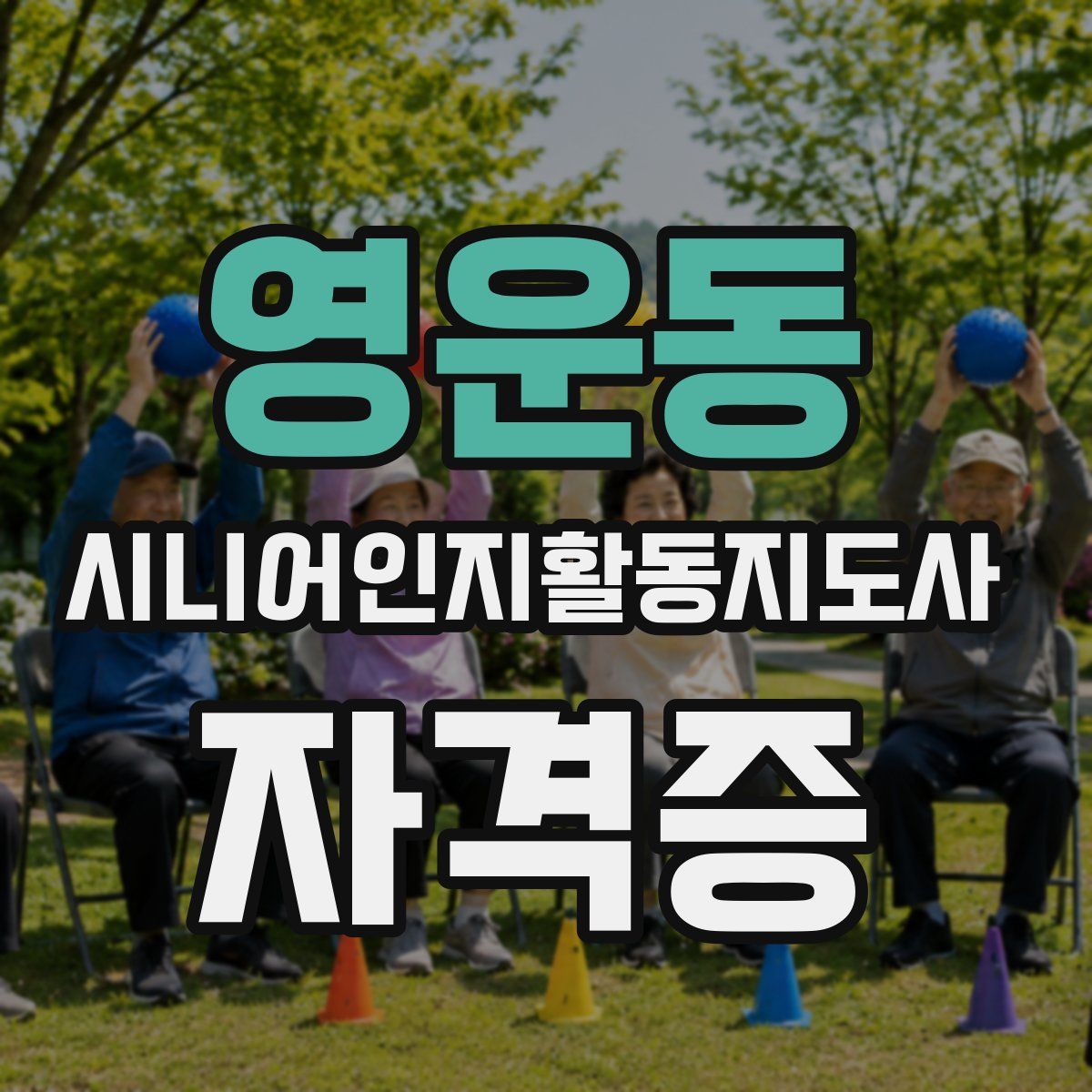 영운동 시니어인지활동지도사 자격증