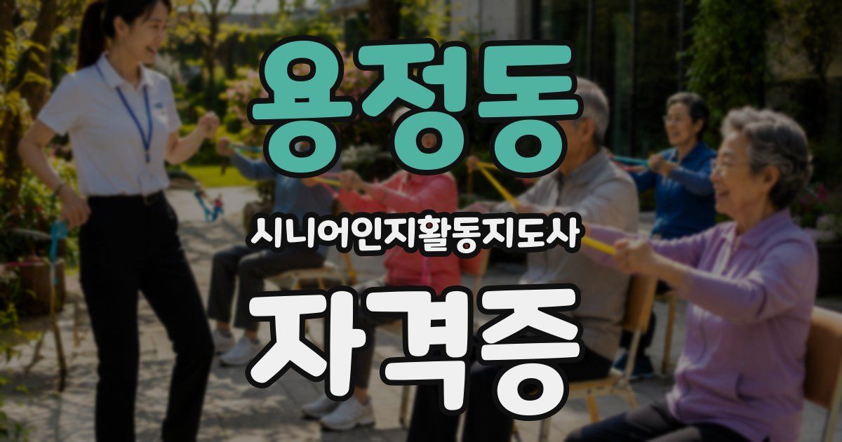 용정동 시니어인지활동지도사 자격증