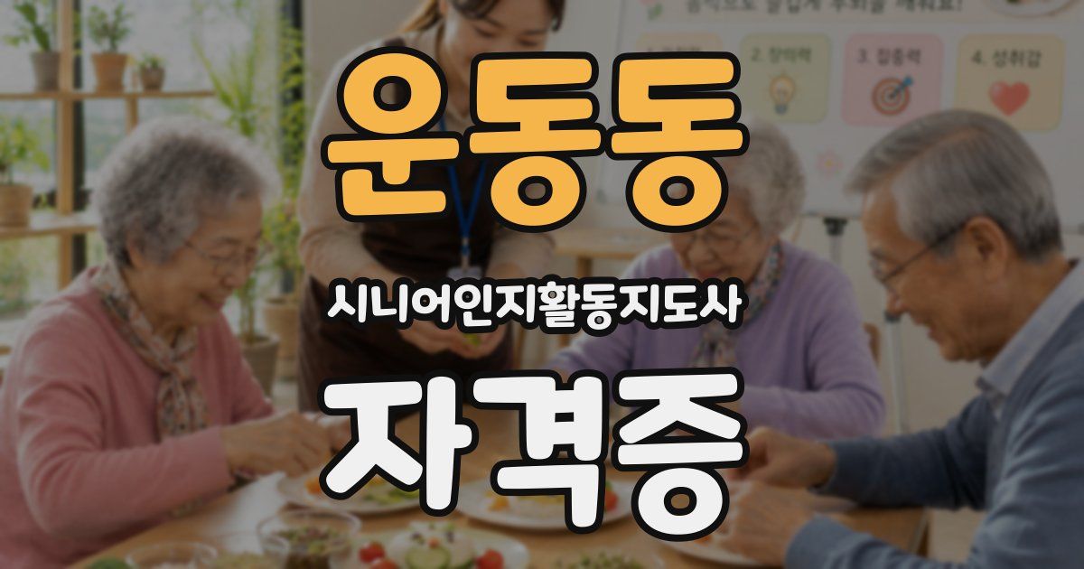 운동동 시니어인지활동지도사 자격증