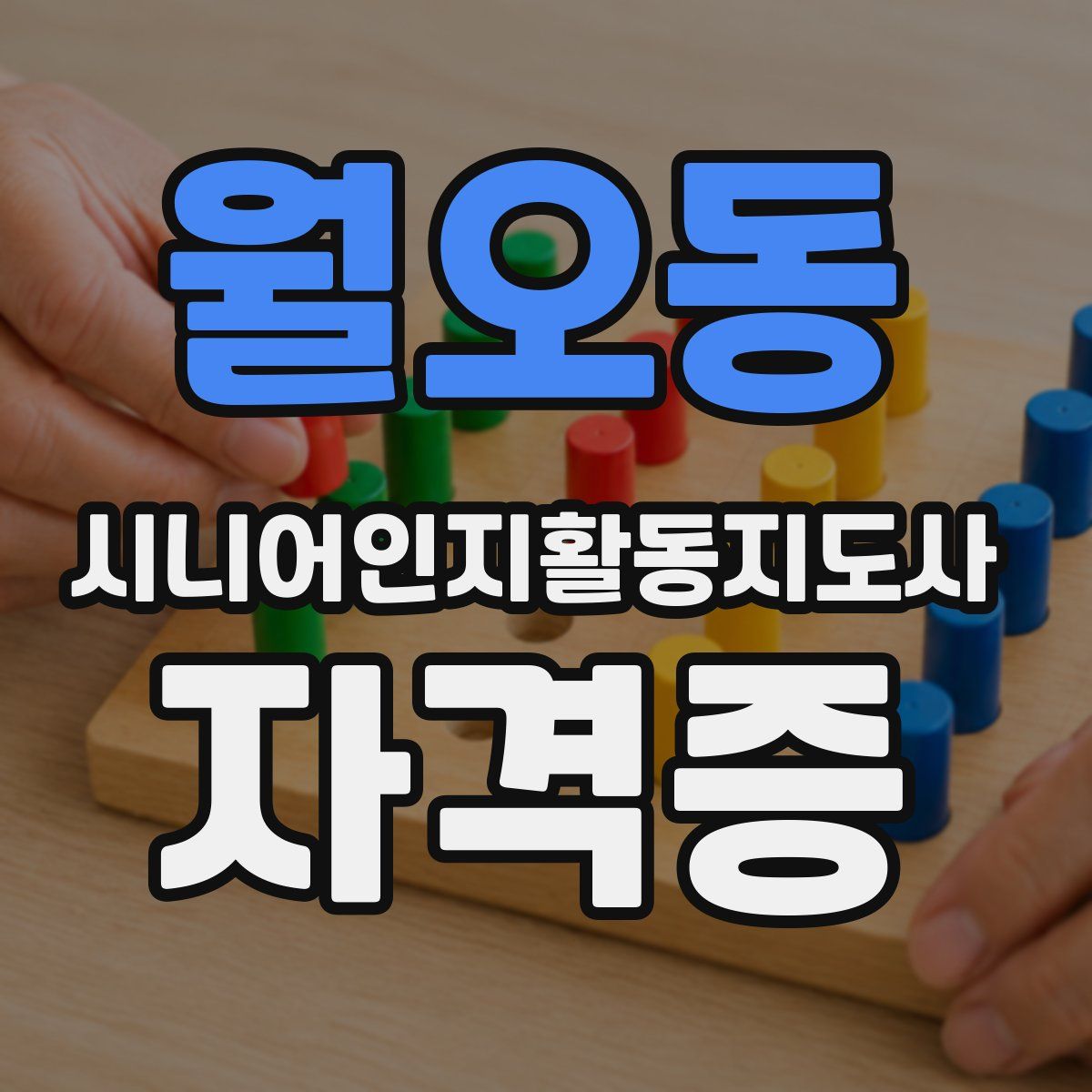 월오동 시니어인지활동지도사 자격증