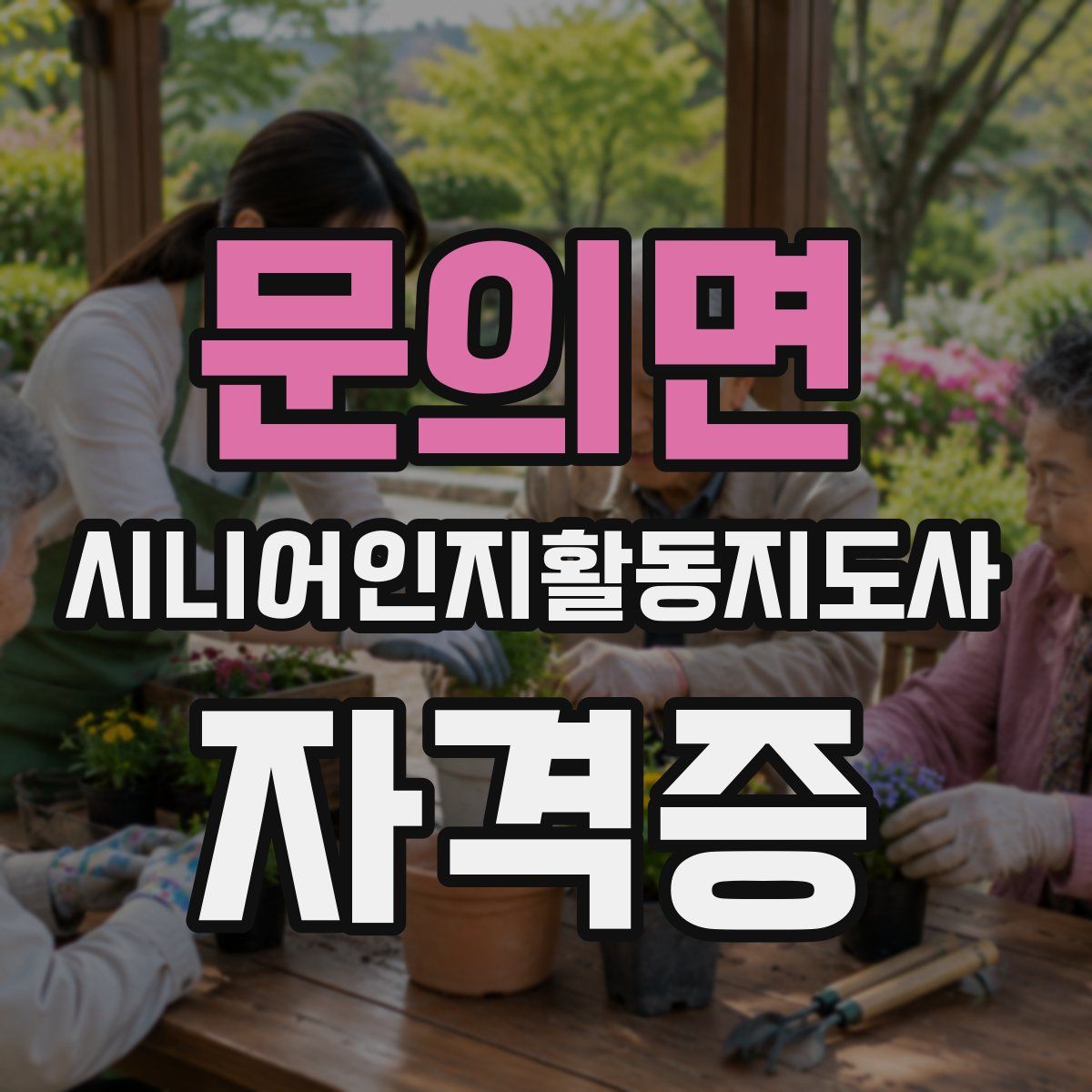 문의면 시니어인지활동지도사 자격증