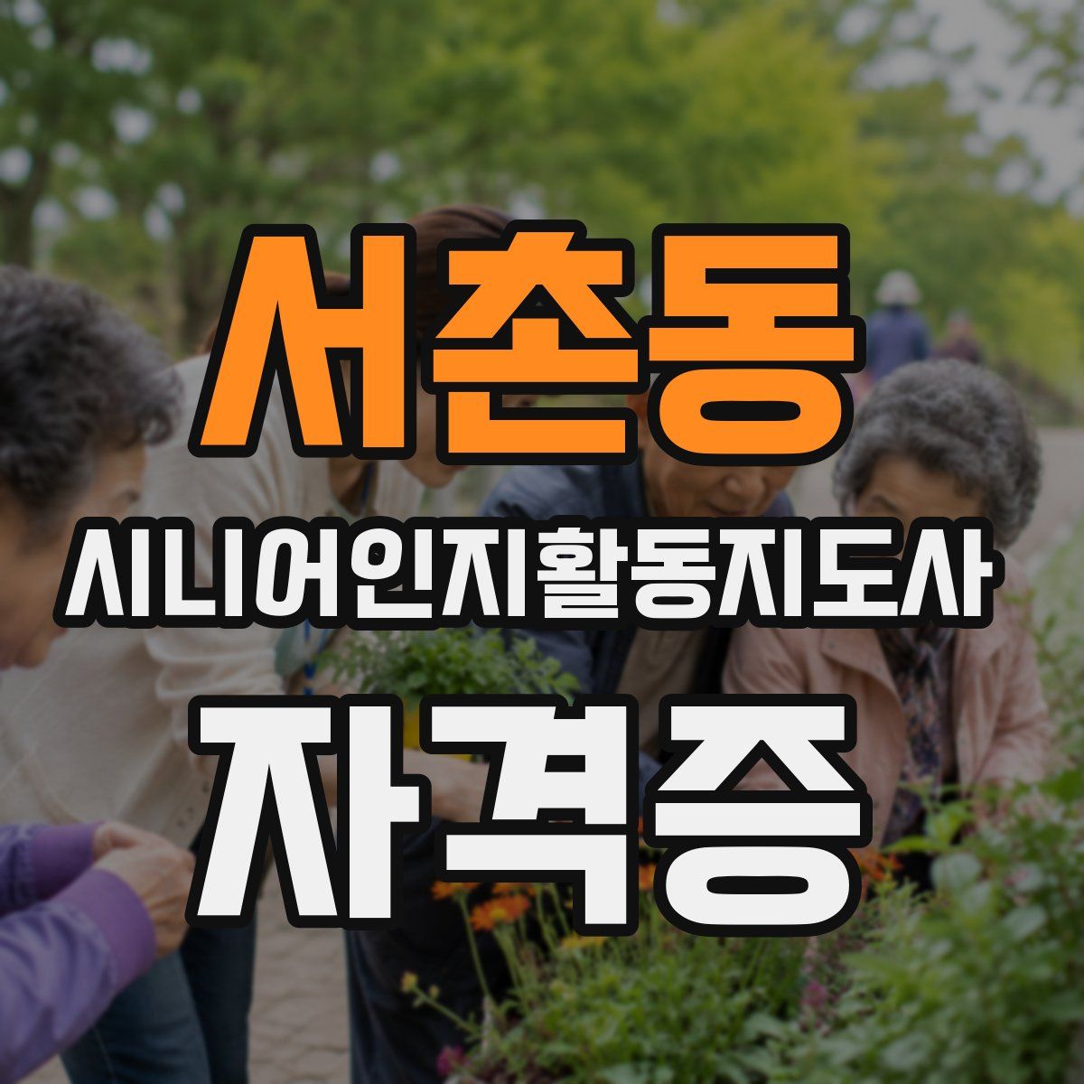 서촌동 시니어인지활동지도사 자격증