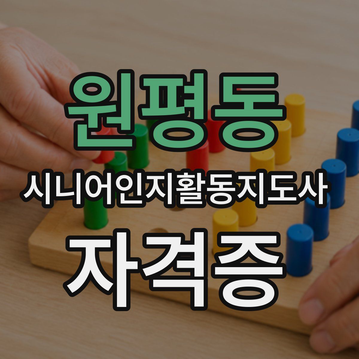 원평동 시니어인지활동지도사 자격증