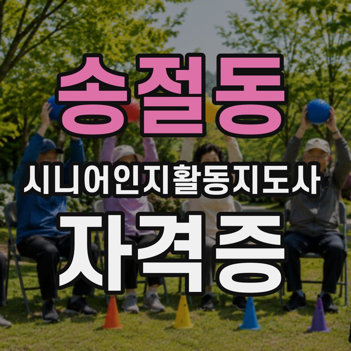 송절동 시니어인지활동지도사 자격증