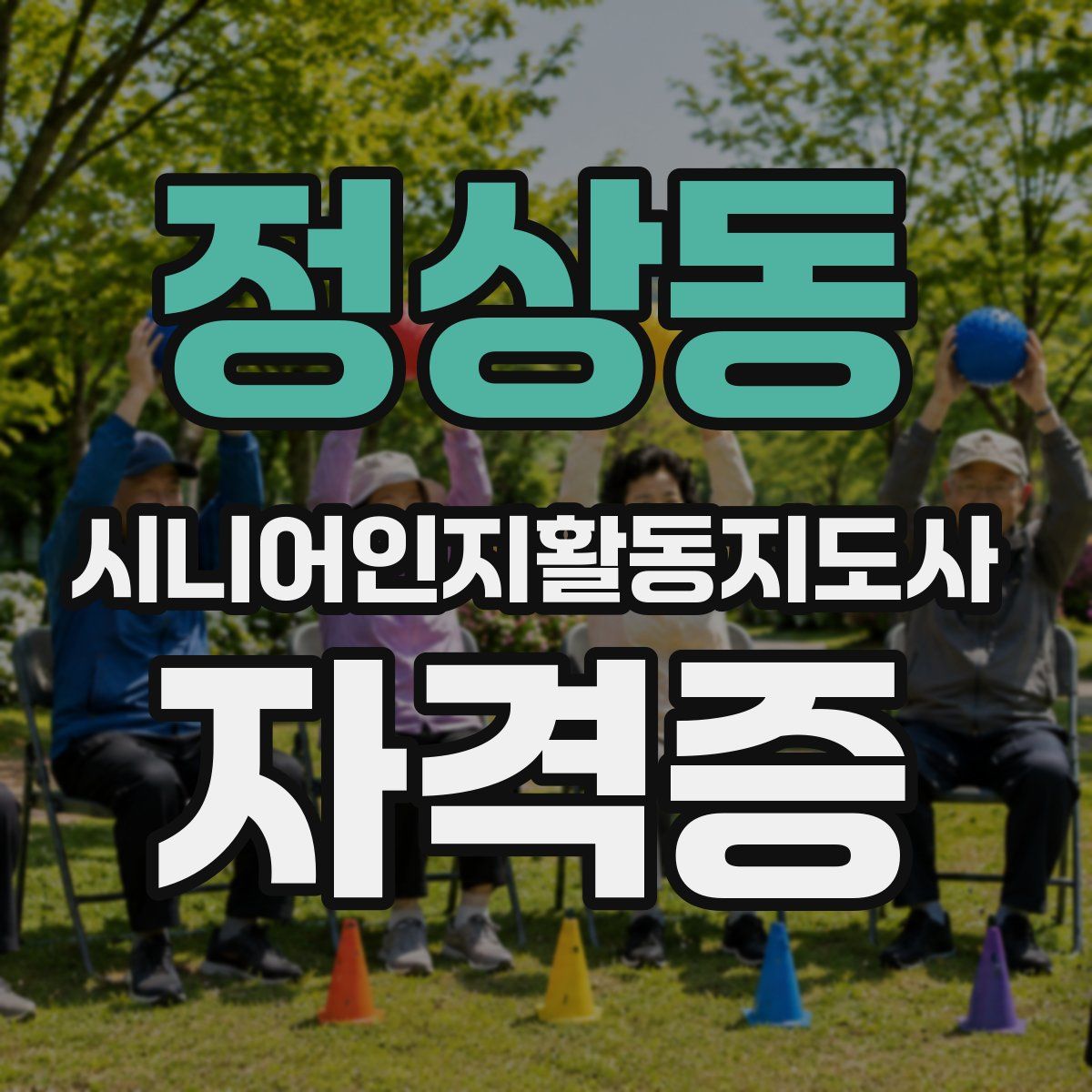 정상동 시니어인지활동지도사 자격증