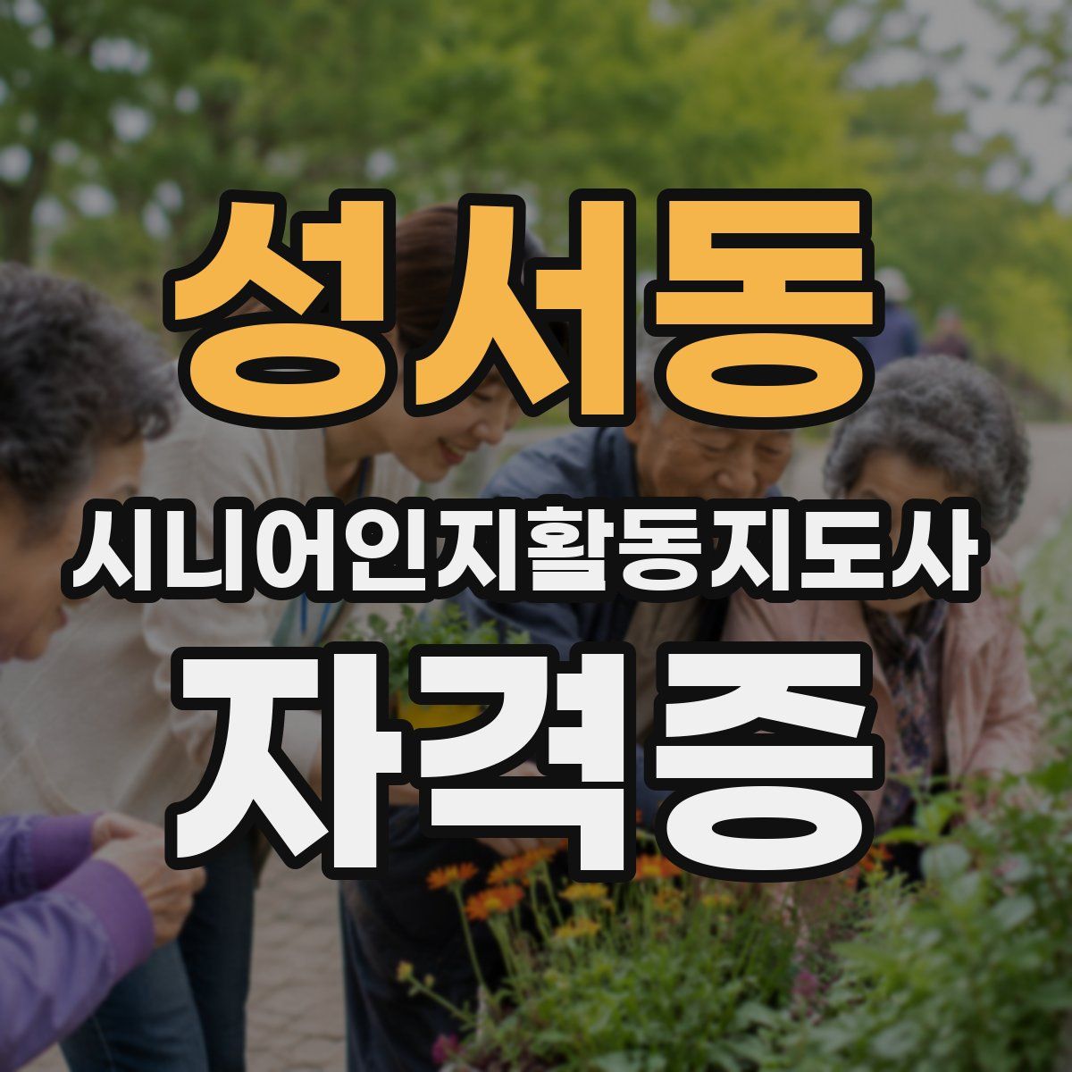 성서동 시니어인지활동지도사 자격증