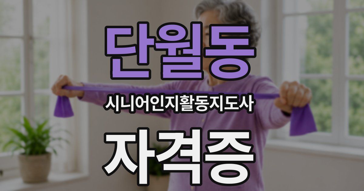 단월동 시니어인지활동지도사 자격증