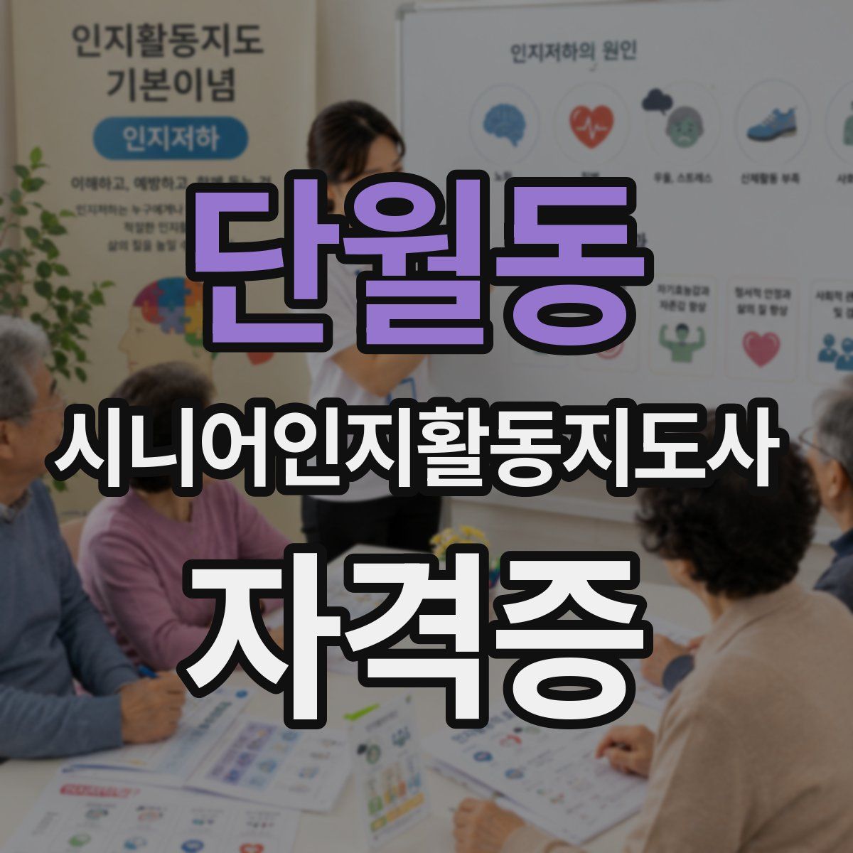 단월동 시니어인지활동지도사 자격증