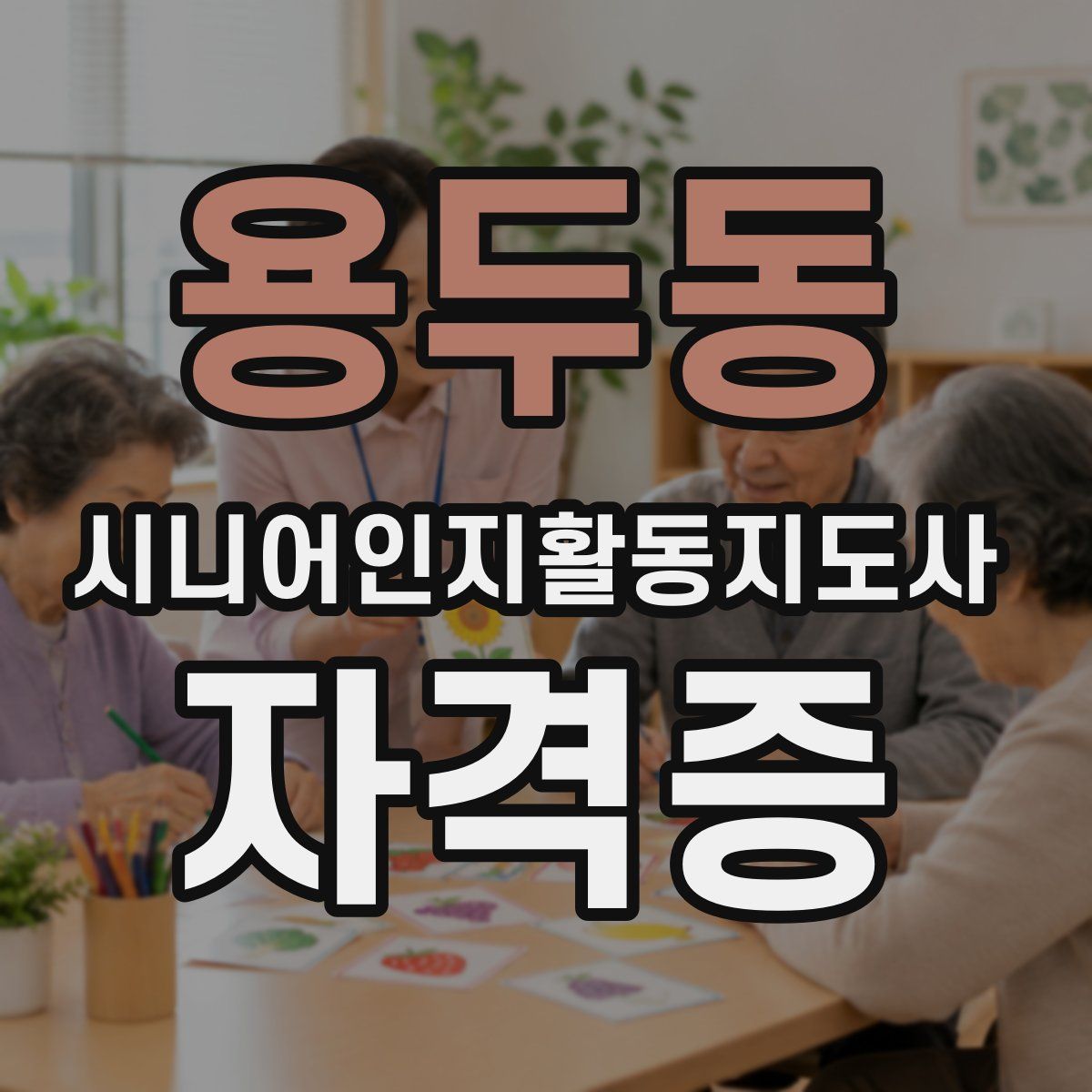 용두동 시니어인지활동지도사 자격증