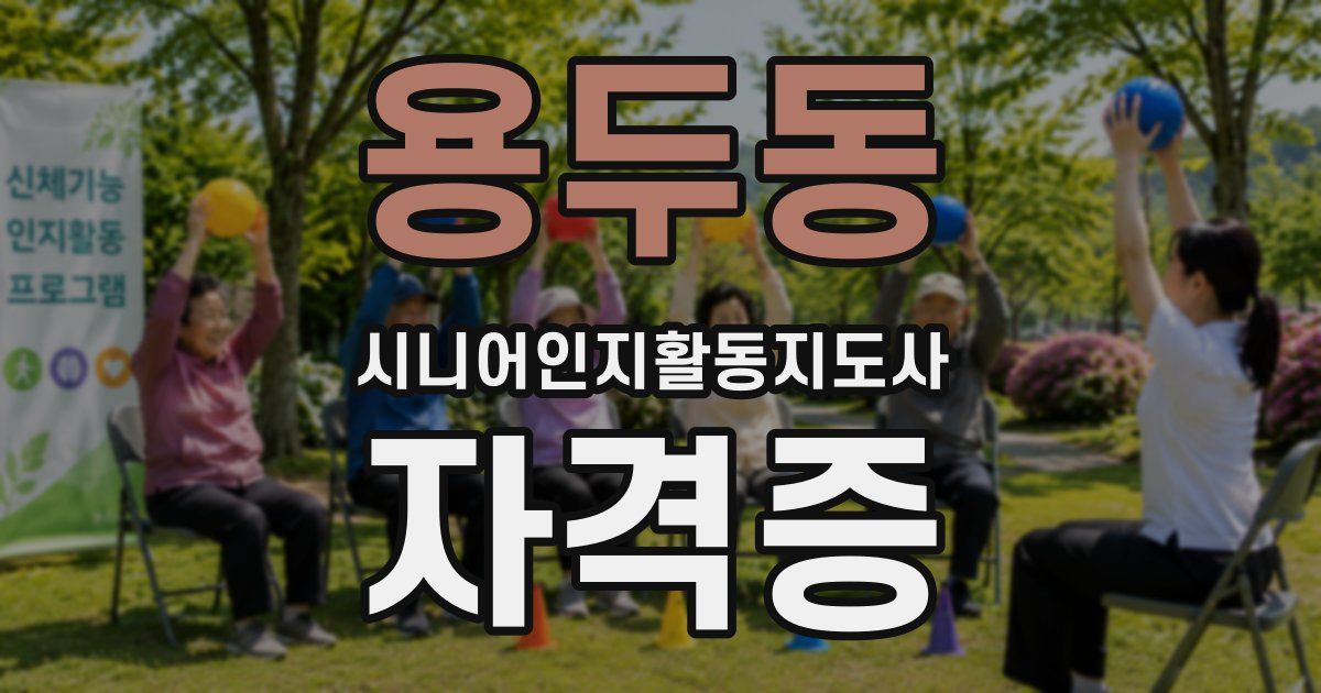 용두동 시니어인지활동지도사 자격증