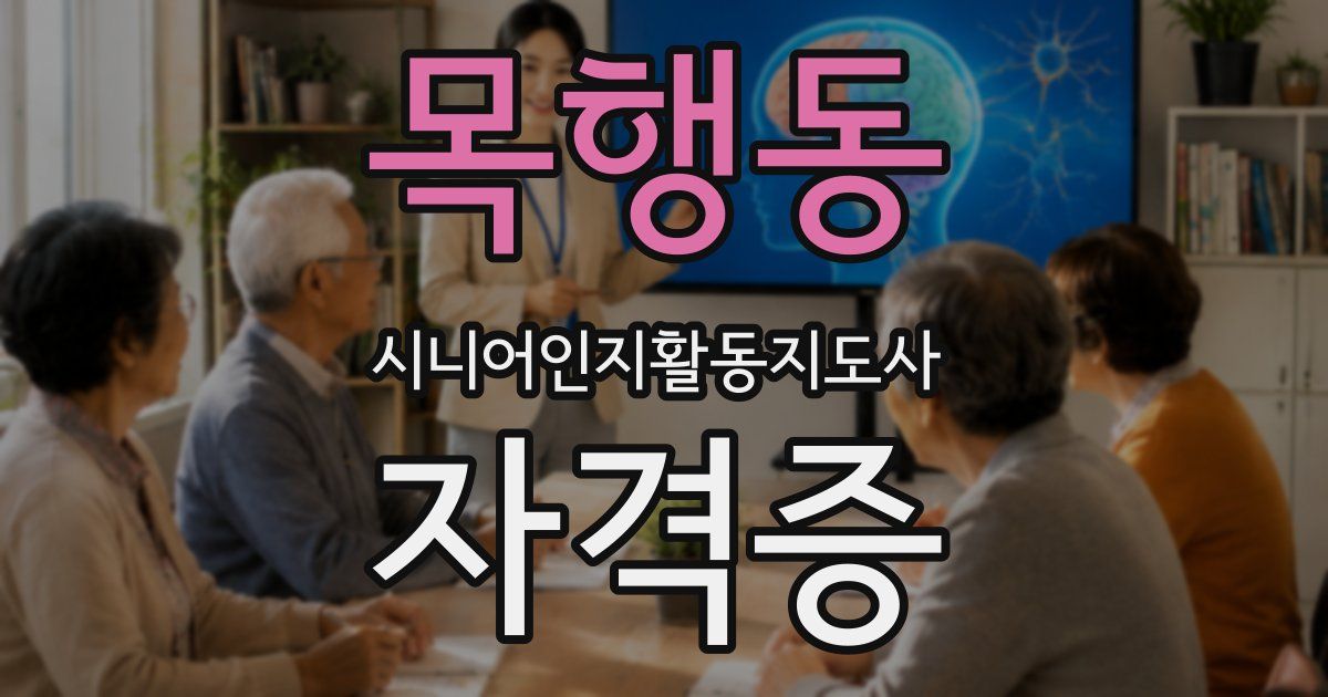 목행동 시니어인지활동지도사 자격증