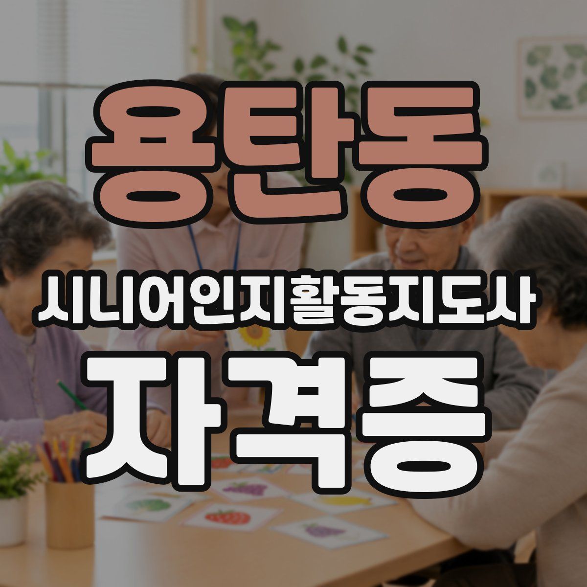 용탄동 시니어인지활동지도사 자격증