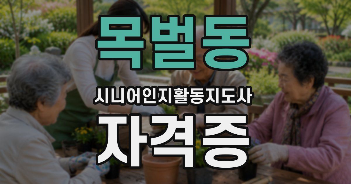 목벌동 시니어인지활동지도사 자격증