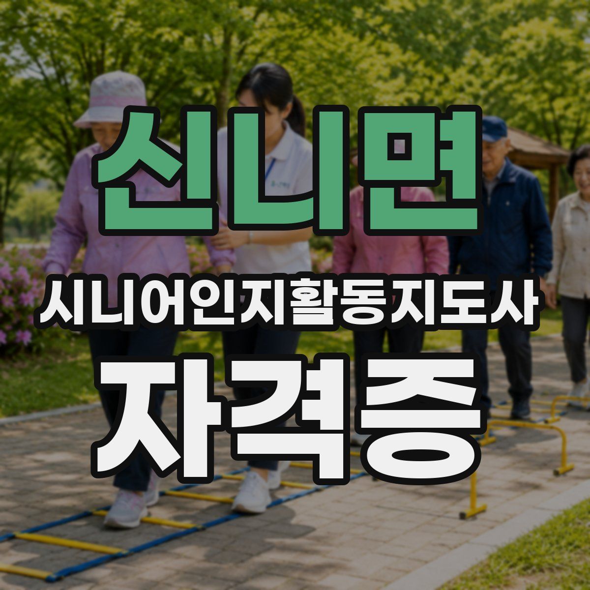 신니면 시니어인지활동지도사 자격증