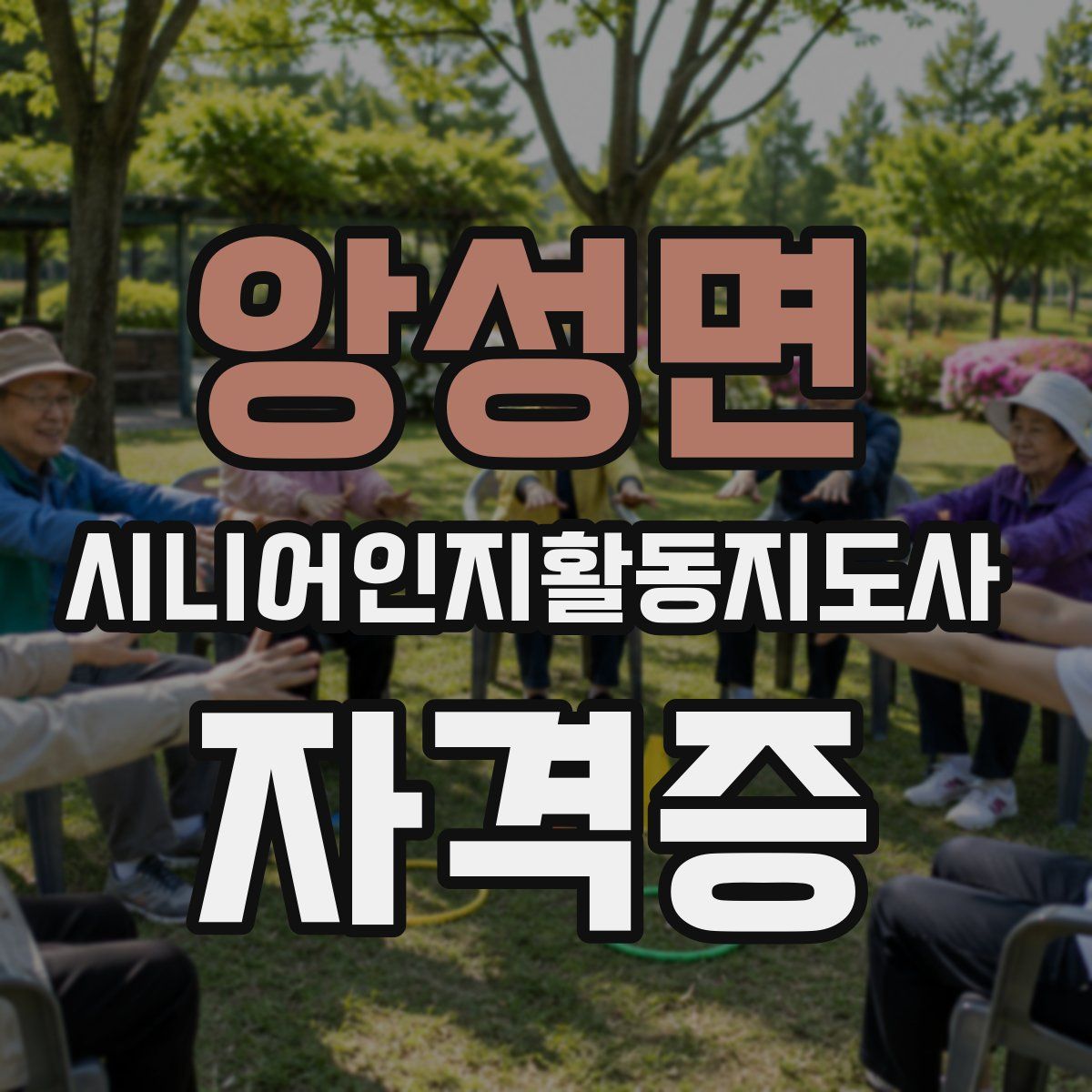 앙성면 시니어인지활동지도사 자격증