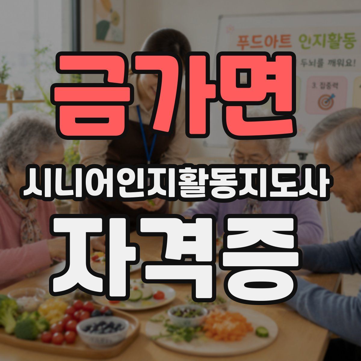 금가면 시니어인지활동지도사 자격증