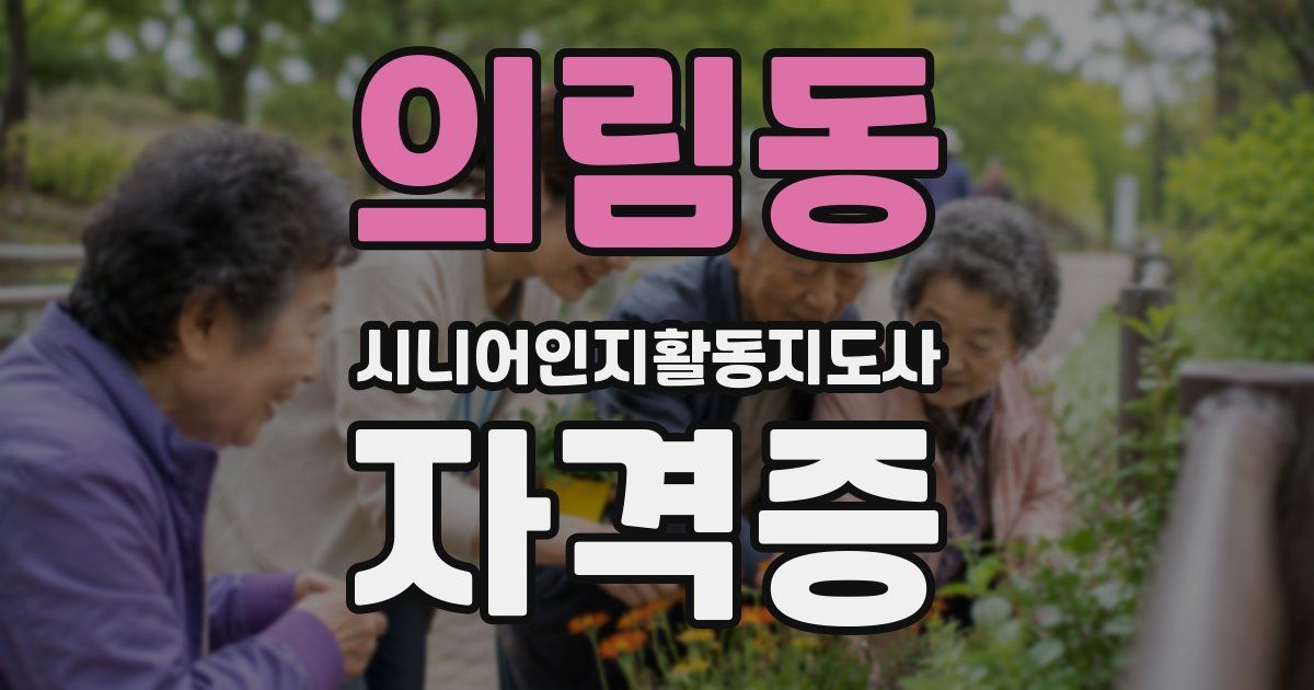 의림동 시니어인지활동지도사 자격증