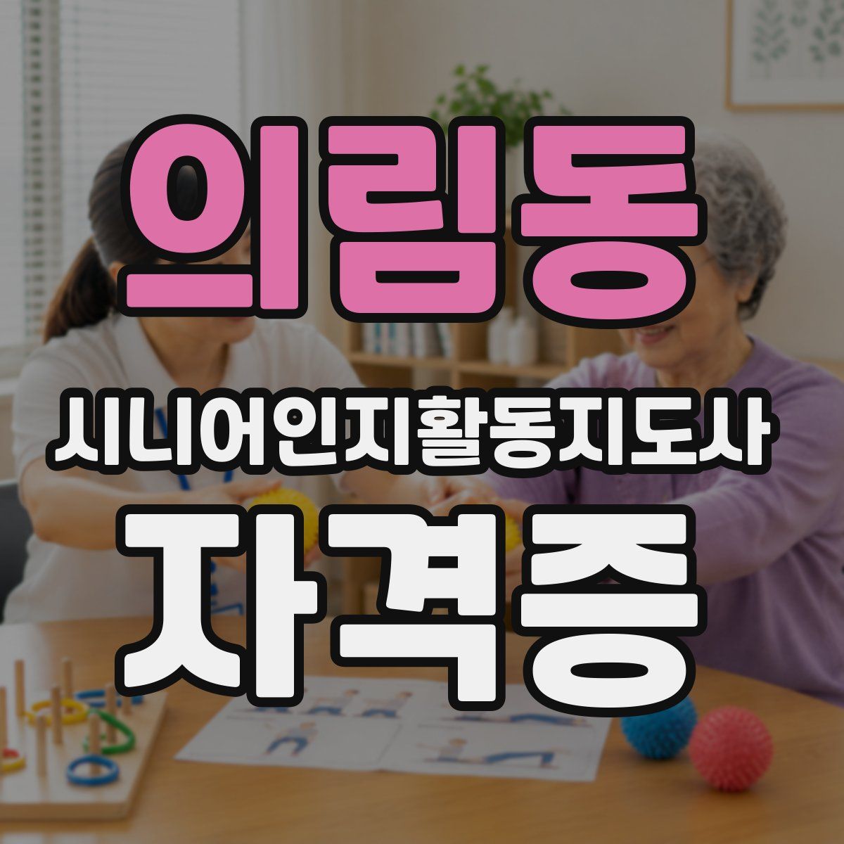의림동 시니어인지활동지도사 자격증