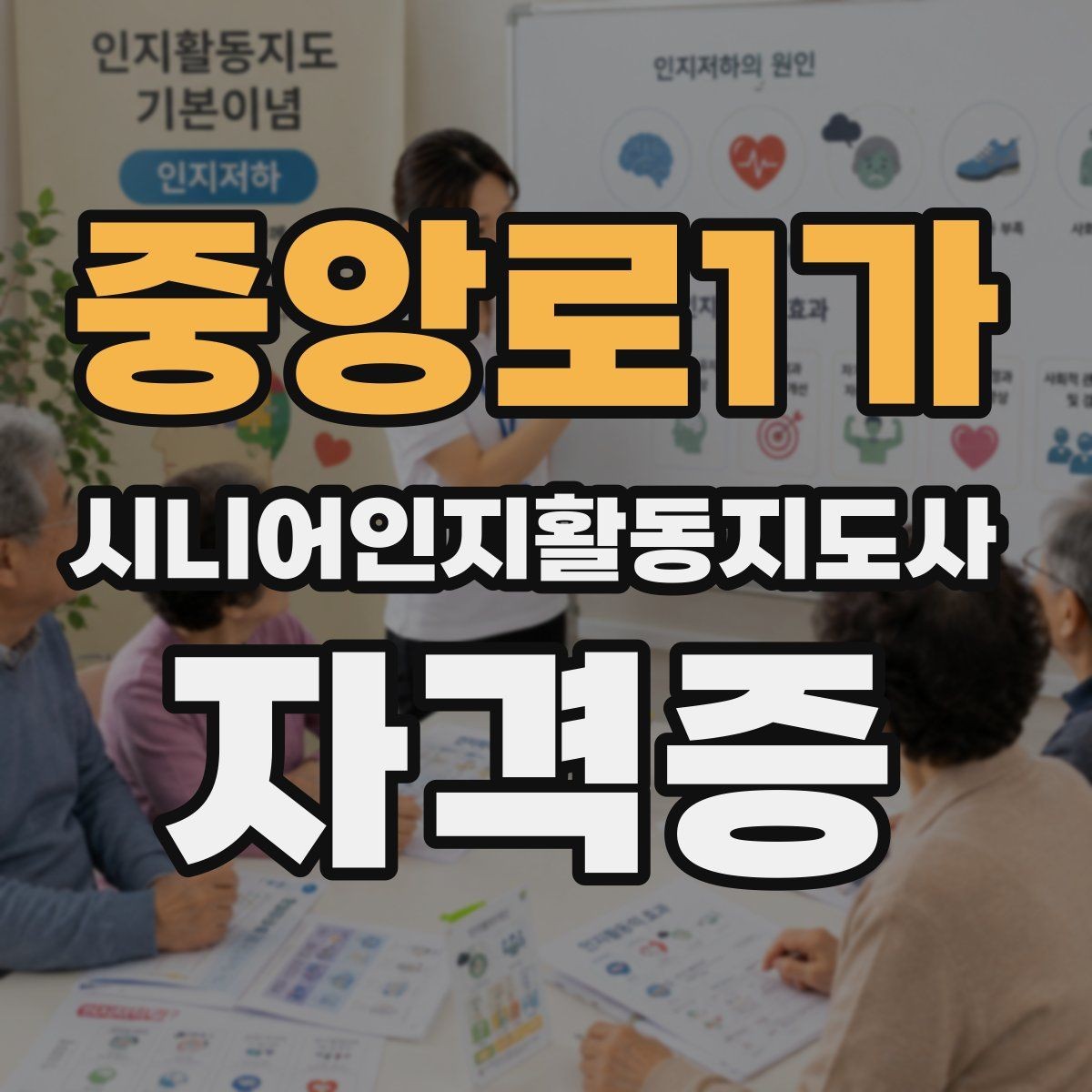 중앙로1가 시니어인지활동지도사 자격증 과정 비교와 나에게 맞는 선택