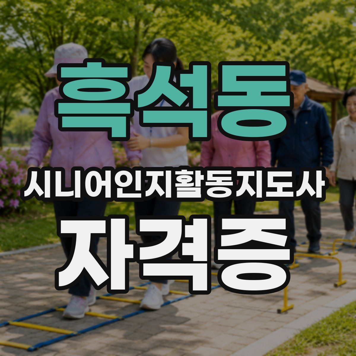 흑석동 시니어인지활동지도사 자격증