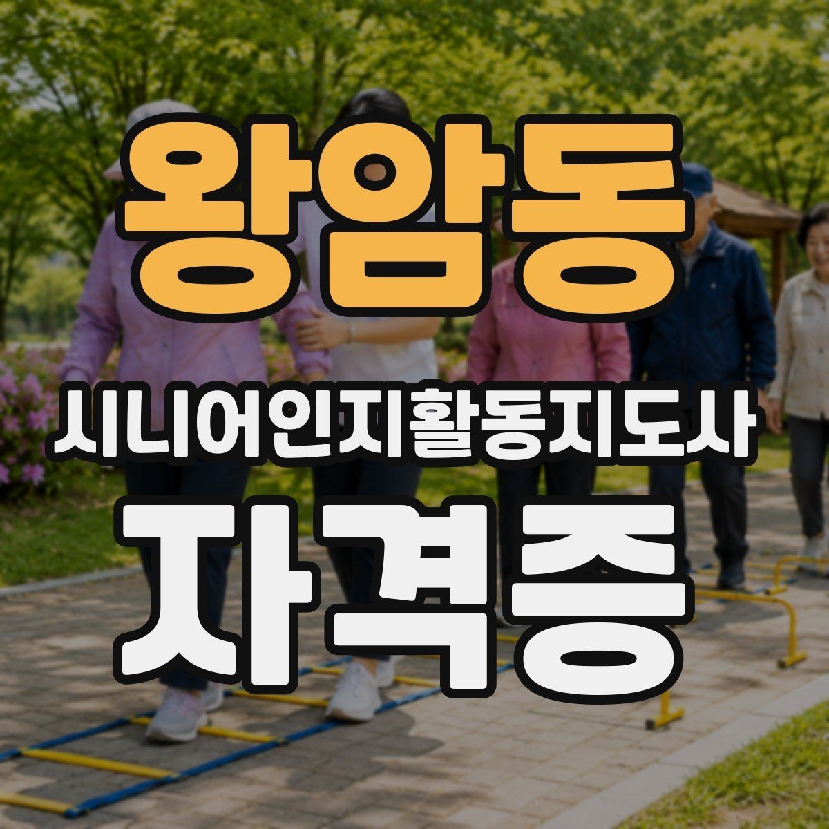 왕암동 시니어인지활동지도사 자격증 일정 관리가 중요한 이유