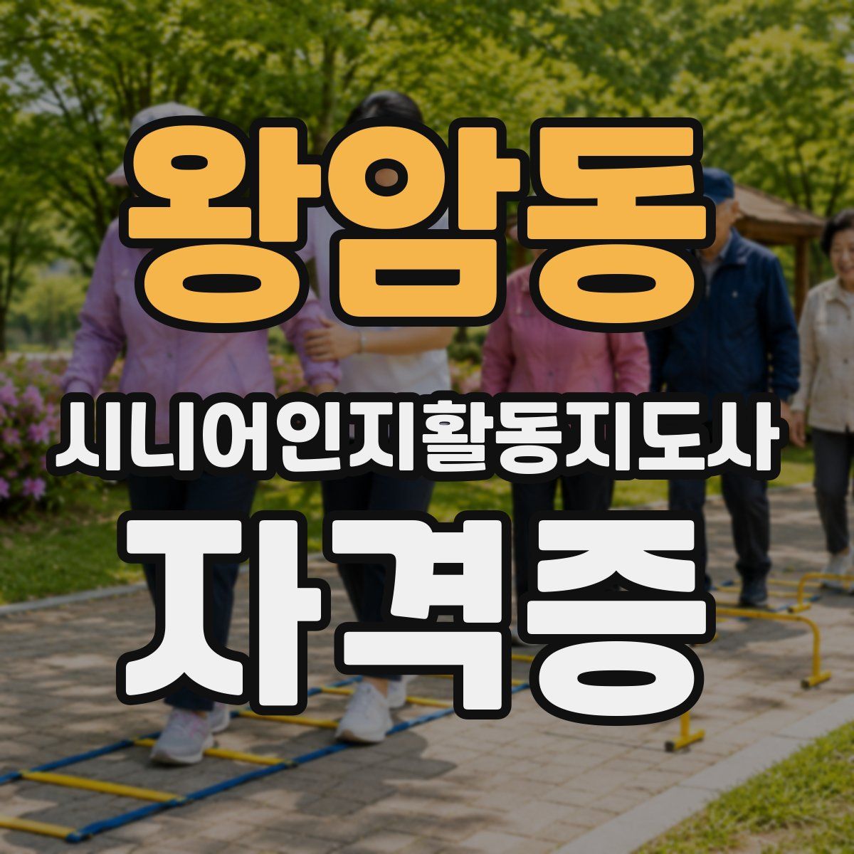 왕암동 시니어인지활동지도사 자격증