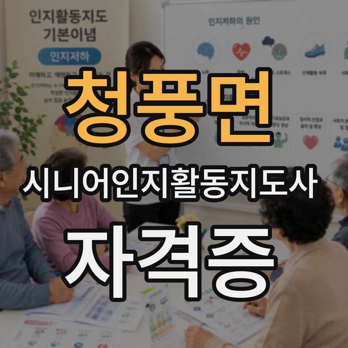 청풍면 시니어인지활동지도사 자격증