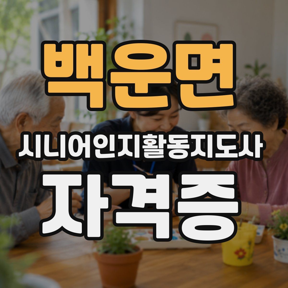 백운면 시니어인지활동지도사 자격증 합격을 위한 학습 흐름