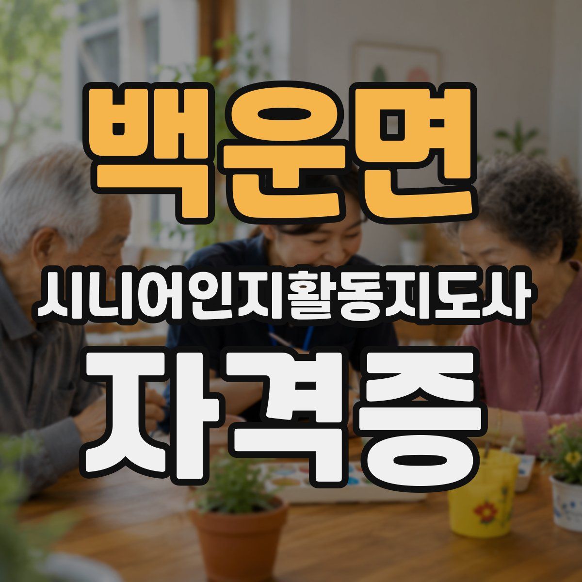 백운면 시니어인지활동지도사 자격증