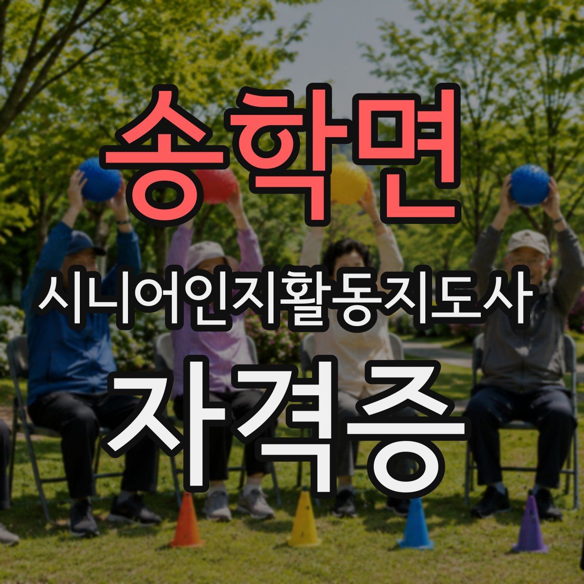 송학면 시니어인지활동지도사 자격증