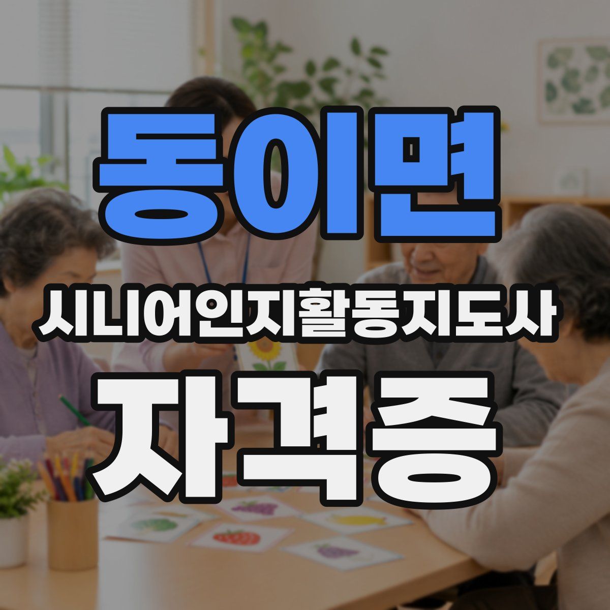 동이면 시니어인지활동지도사 자격증