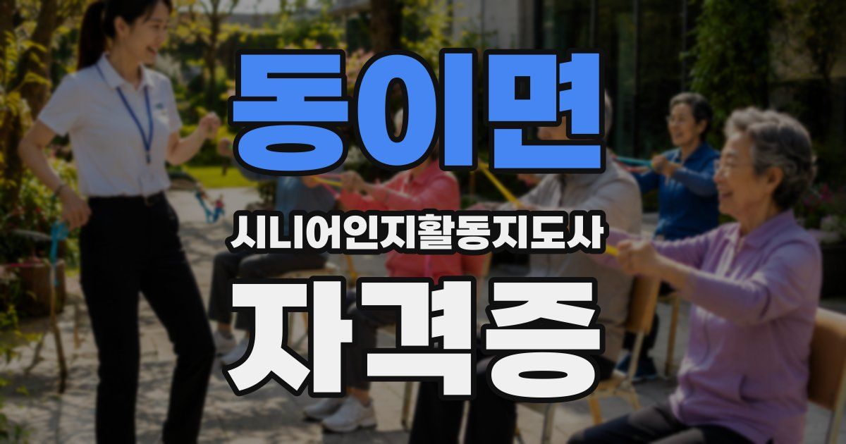 동이면 시니어인지활동지도사 자격증