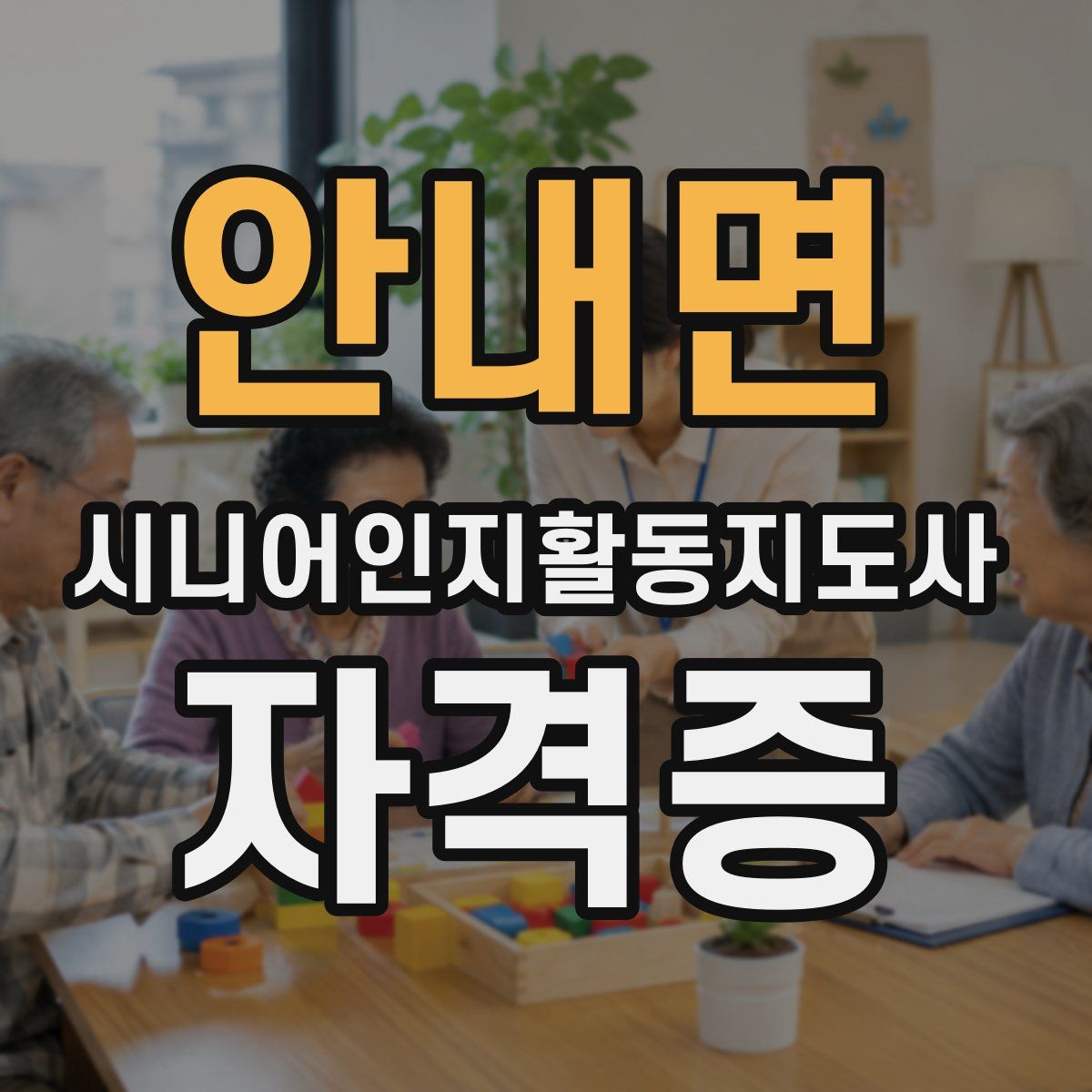 안내면 시니어인지활동지도사 자격증