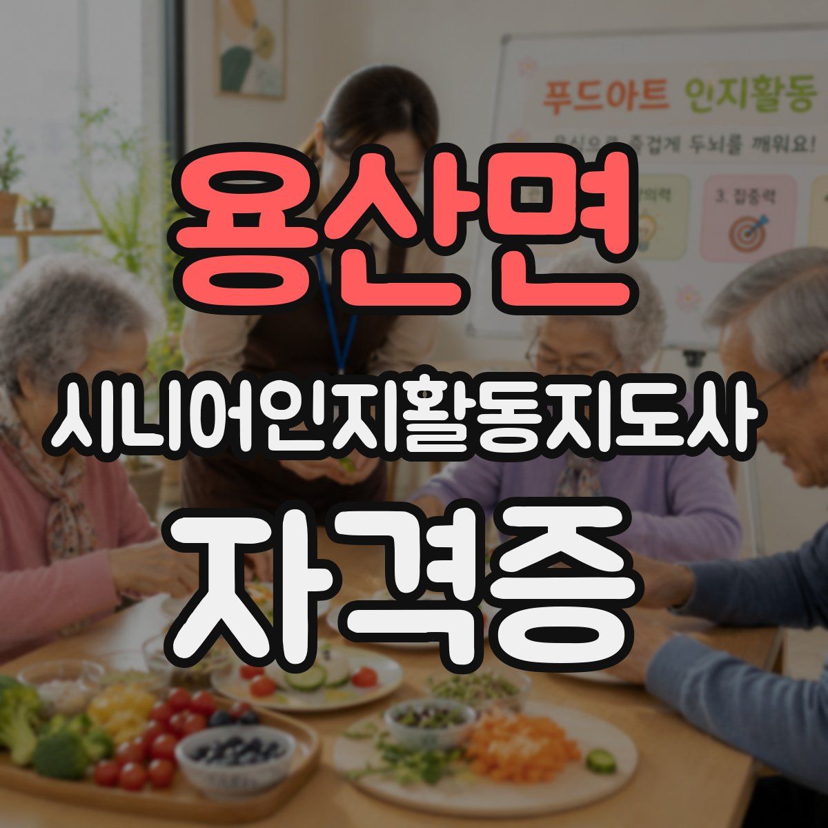 용산면 시니어인지활동지도사 자격증