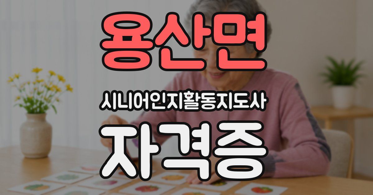 용산면 시니어인지활동지도사 자격증
