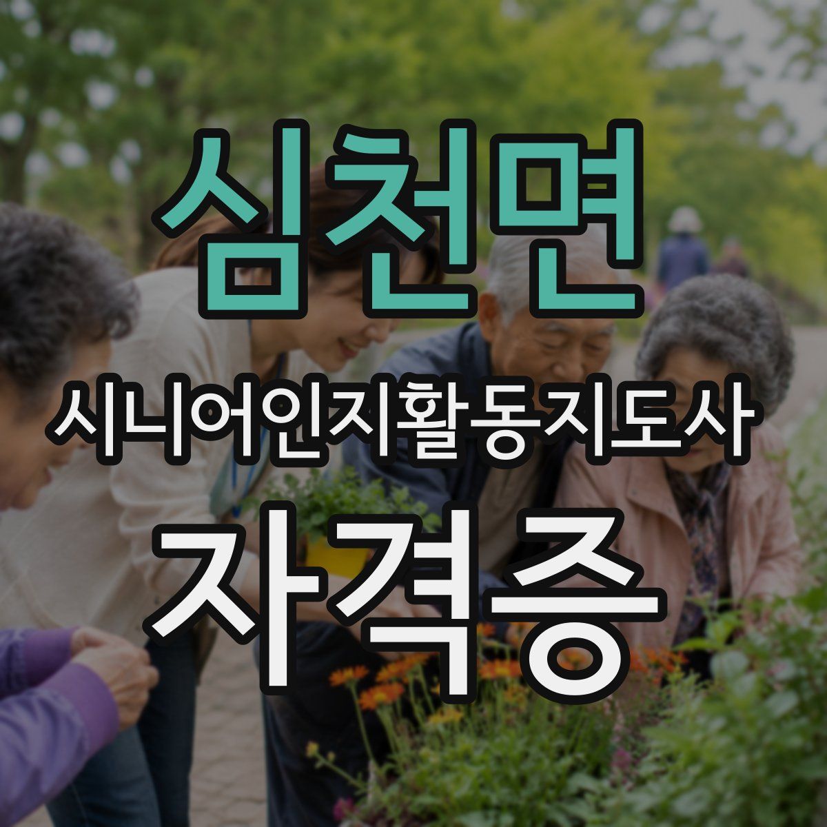 심천면 시니어인지활동지도사 자격증