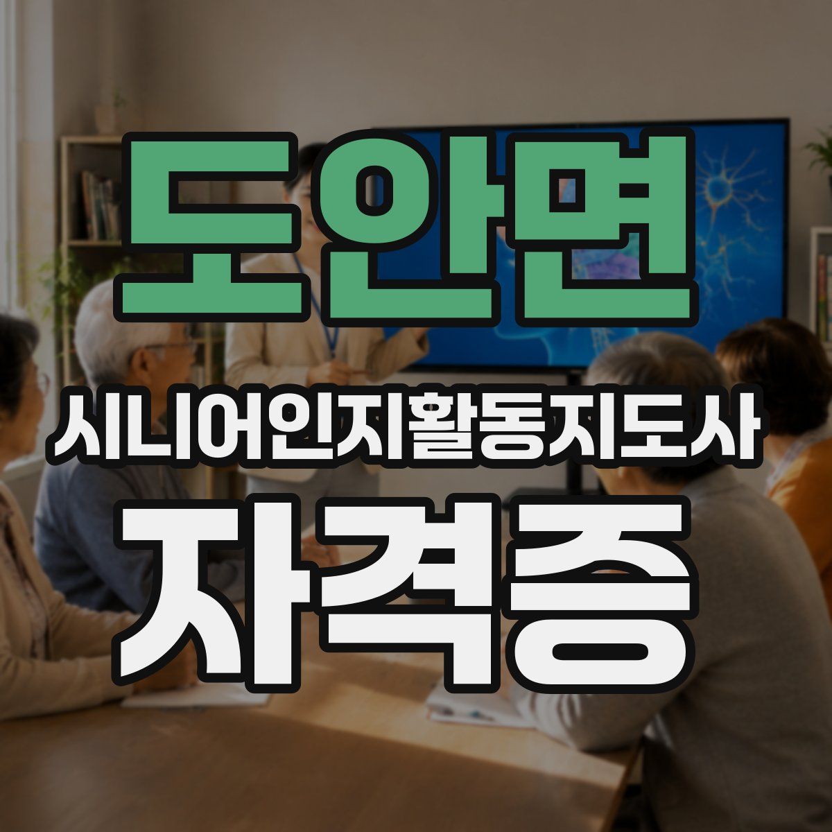 도안면 시니어인지활동지도사 자격증