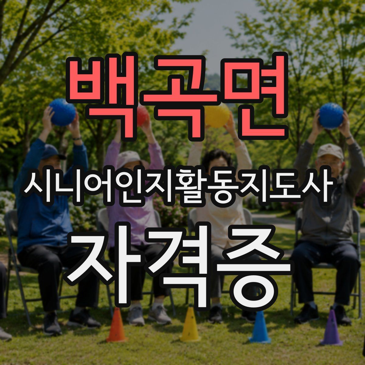 백곡면 시니어인지활동지도사 자격증