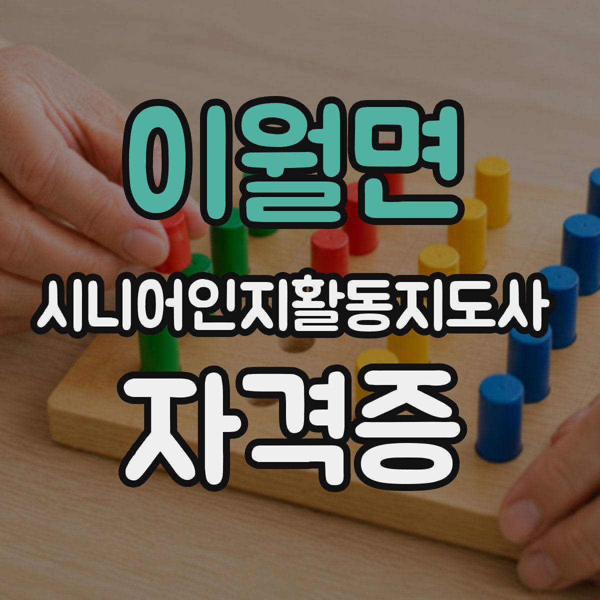 이월면 시니어인지활동지도사 자격증