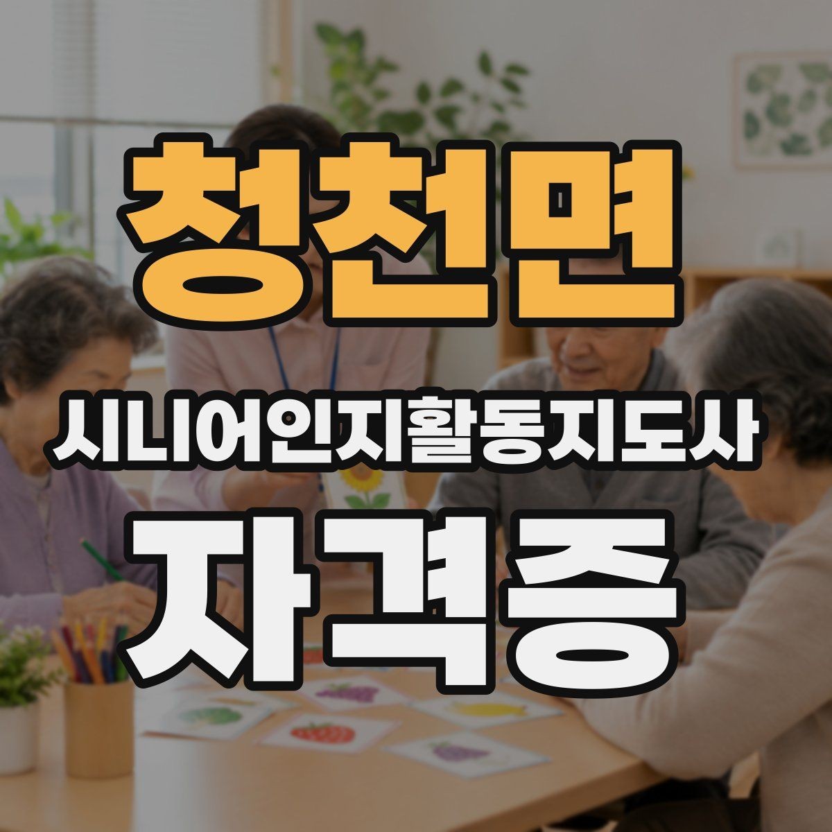 청천면 시니어인지활동지도사 자격증 커리큘럼에서 살펴볼 내용