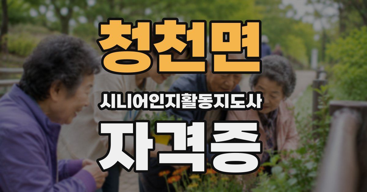 청천면 시니어인지활동지도사 자격증